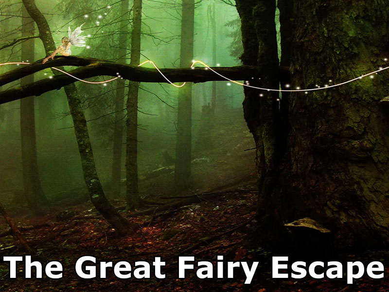 The Great Fairy Escape